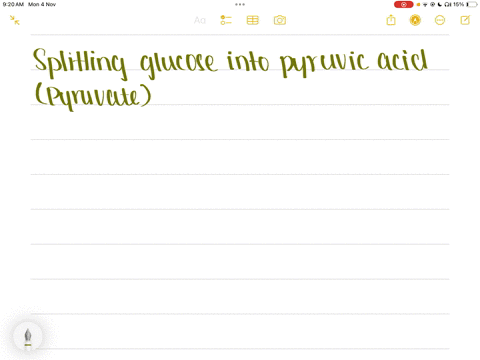 multiple-choive-15-points-which-production-pathway-produces-2-atp-net-providing-enough-energy-for-about-30-40-seconds-of-activity-splitting-glucose-into-pyruvic-acid-pyruvate-aerobic-catabolism-oxddat