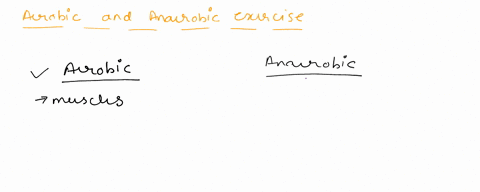 describe-the-differences-between-anaerobic-and-aerobic-exercise-13511