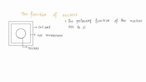 question-10-eukaryotic-cells-have-dna-enclosed-in-a-double-membrane-called-the-nucleus-the-nucleus-functions-to-prevent-materials-associated-with-the-dna-from-coming-into-contact-with-the-ce-31542
