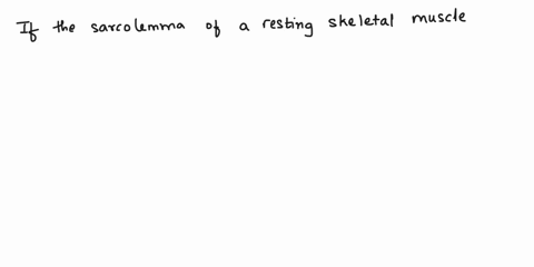 what-would-happen-to-a-resting-skeletal-muscle-if-the-sarcolemma-suddenly-became-very-permeable-to-calcium-ions-16181