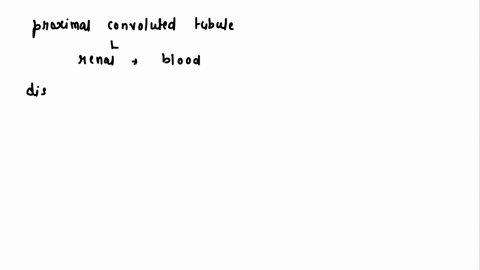 which-of-the-following-is-between-the-proximal-and-distal-tubules-the-glomerulus-the-loop-of-henle-the-distal-convoluted-tubule-the-proximal-convoluted-tubule-collecting-duct-24798
