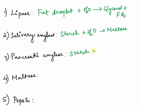 match-each-of-the-following-enzymes-to-the-associated-digestion-equation-some-equations-will-be-used-more-than-once-starch-ho-maltose-nucleotide-ho-base-sugar-phosphate-protein-ho-peptides-r-05681