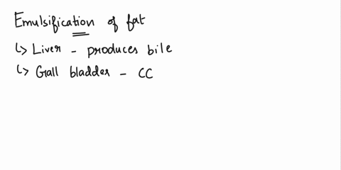 question-4-which-organs-are-in-charge-of-emulcification-of-fats-selected-answers-liver-gallbladder-pancreas-answers-liver-gallbladder-pancreas-large-intestine-81117
