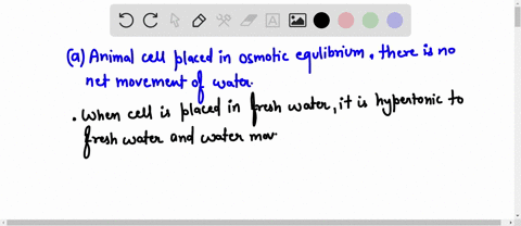 an-animal-cell-is-at-osrotic-equilibrlum-with-what-would-environments-ifyou-placed-the-cell-unto-fresh-water-happen-thcre-would-be-no-change-the-cell-would-swell-and-perhaps-burst-the-cytopl-00802