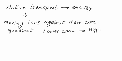 why-is-energy-needed-for-active-transport-24713