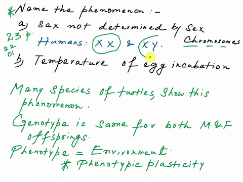 in-many-species-of-turtlessex-is-not-determined-by-sex-chromosomes-like-in-mammals-and-birds-but-by-the-temperature-the-eggs-are-incubated-atin-most-species-cooler-temperatures-produce-femal-86106