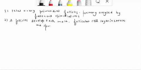 complete-the-sentences-describing-the-development-of-ovarian-follicles-then-place-in-sentences-in-the-order-that-they-occur-labels-can-be-used-more-than-once-23-46-antrum-primary-primary-fol-99568