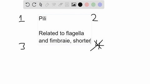 which-of-the-following-statements-about-pili-is-not-true-1-pili-are-used-during-cell-division-2-pili-are-used-to-transfer-dna-between-cells-3-pili-are-used-for-twitching-and-gliding-motility-33823