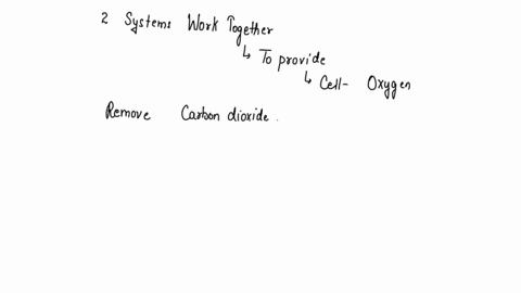 list-the-functions-of-the-adipose-tissue-within-thesubcutaneous-tissue-35048