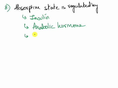 15-the-___________-________________-cells-of-the-________________-makes-glucagon-what-are-the-functions-of-glucagon-16-the-absorptive-state-is-regulated-by-the-hormone-______________________-11067