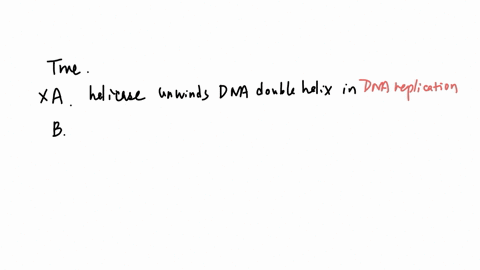 which-statements-isare-irul-a-helicase-is-the-enzyme-responsible-for-unwinding-the-dna-double-helix-in-the-transcription-process-b-dna-polymerase-iii-adds-nucleotides-in-a-5prime-rightarrow-3prime-dir