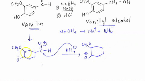 write-mechanism-for-the-reduction-of-vanillin-by-sodium-borohydride-under-the-reaction-conditions-vou-used-write-balanced-equation-for-the-decomposition-of-sodium-borohydride-in-water-to-whi-71153