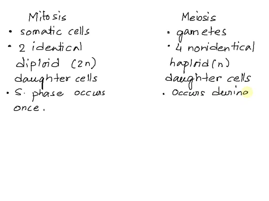 SOLVED: Which of the following statements accurately compares a mitotic ...