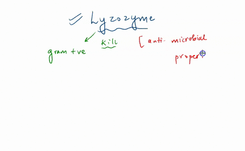 proteins-perform-a-variety-of-functions-in-living-organisms-the-protein-lysozyme-shown-in-the-figure-is-found-in-tears-and-saliva-where-it-prevents-infection-by-catalyzing-the-destruction-of-00068