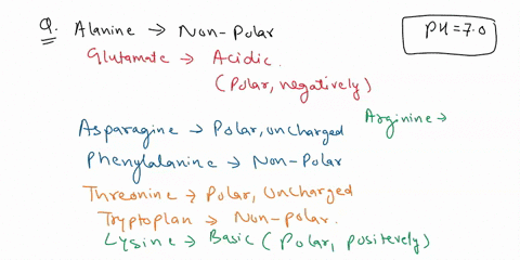 1-4-pts-for-each-amino-acid-listed-below-write-the-letter-of-the-corresponding-chemical-properties_-your-answer-should-consider-only-the-properties-at-ph-near-70-physiological-ph_-non-polar-64712