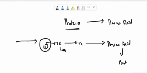 which-statements-describe-proteins-select-three-options-41277