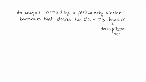 you-have-discovered-an-enzyme-secreted-by-a-particularly-virulent-bacterium-that-cleaves-the-c2c3-bond-in-the-deoxyribose-residues-of-duplex-dna-what-is-the-eff-ect-of-this-enzyme-on-superco-41509