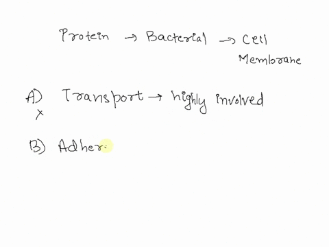 proteins-that-are-found-on-or-in-the-bacterial-cell-membrane-could-function-in-all-of-the-following-processes-except-a-transport-into-and-out-of-the-cell-b-adherence-to-external-surfaces-c-c-19782