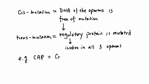 an-e-coli-mutant-isolated-is-simultaneously-unable-to-utilize-a-large-number-of-sugars-eg-lactose-arabinose-maltose-as-carbon-source-however-genetic-analysis-shows-that-each-of-the-operons-r-68043