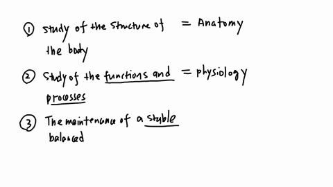 match-description-on-the-left-to-the-best-term-on-the-right-begintabularcc-hline-the-study-of-the-structure-of-the-body-checkmark-choose-hline-and-the-relationships-between-its-parts-begintabularl-pro