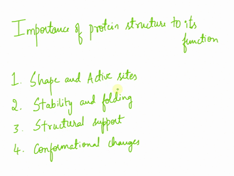 explain-why-the-structure-of-protein-is-important-to-how-the-protein-functions-99376