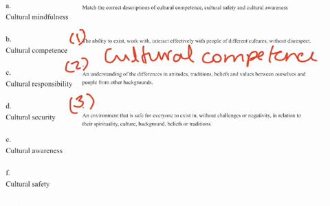 question-9-match-the-correct-descriptions-of-cultural-competence-cultural-safety-and-cultural-awareness-the-ability-to-exist-work-with-interact-effectively-with-people-of-different-cultures-without-di