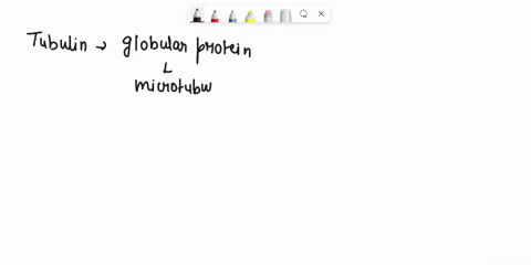 how-is-tubulin-microtubules-and-flagella-structurally-related-94917