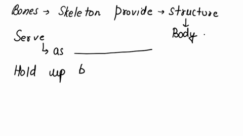 the-bones-of-the-skeleton-provide-structure-to-the-body-and-serve-as-a-____________-to-hold-up-the-body-and-maintain-proper-positioning-of-some-organs-76717