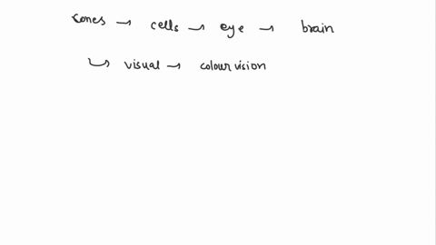 provide-information-about-__________-giving-us-the-perception-of-color-cones-the-wavelength-of-arriving-photons-rods-the-wavelength-of-arriving-photons-rods-the-presence-or-absenc-32752