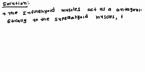 1-when-the-hyoid-bone-is-elevated-the-suprahyoid-muscles-are-the-agonists-what-group-of-muscles-act-as-antagonists-explain-2-complete-the-following-table-07872