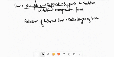 1-explain-how-each-of-the-following-structures-relates-to-its-function-a-compact-bone-b-spongy-bone-c-along-bone-2a-bone-tumor-disrupts-the-normal-structure-of-osteonsreplacing-the-organized-69528
