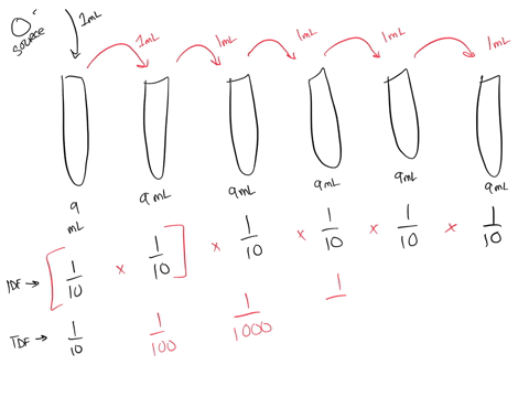 please-note-that-for-the-dilution-problems-use-only-the-following-diluent-volumes-09-ml-9-ml-or-99-ml-answers-should-be-in-terms-of-exponents-1-draw-two-ways-of-making-10-6-dilution-indicate-06612