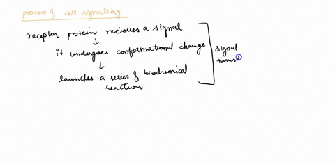 when-a-signaling-molecule-binds-with-a-receptor-a-g-proteins-are-inactivated-b-a-third-messenger-i-3-10845