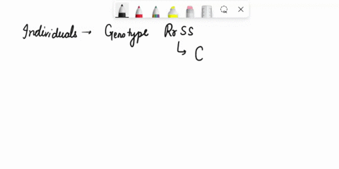 individuals-with-genotype-rrss-will-produce-how-many-different-kinds-of-gametes-what-are-the-possible-gameste-combinations-if-parent-is-aabb-white-eyes-in-fruit-flies-are-a-sex-linked-recess-87563