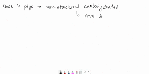animal-nutrition-compare-how-nonstructural-carbohydrates-are-digested-and-absorbed-in-the-small-intestine-of-the-cow-and-the-pig-do-not-discuss-anything-after-the-monosaccharides-have-entere-19744