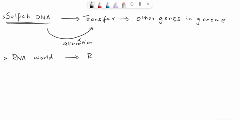 2-what-findings-would-support-the-rna-world-hypothesis-for-viral-origins-over-the-selfish-dna-hypothesis-mark-all-that-apply-evidence-that-the-earliest-viruses-had-capsids-evidence-that-viru-14566