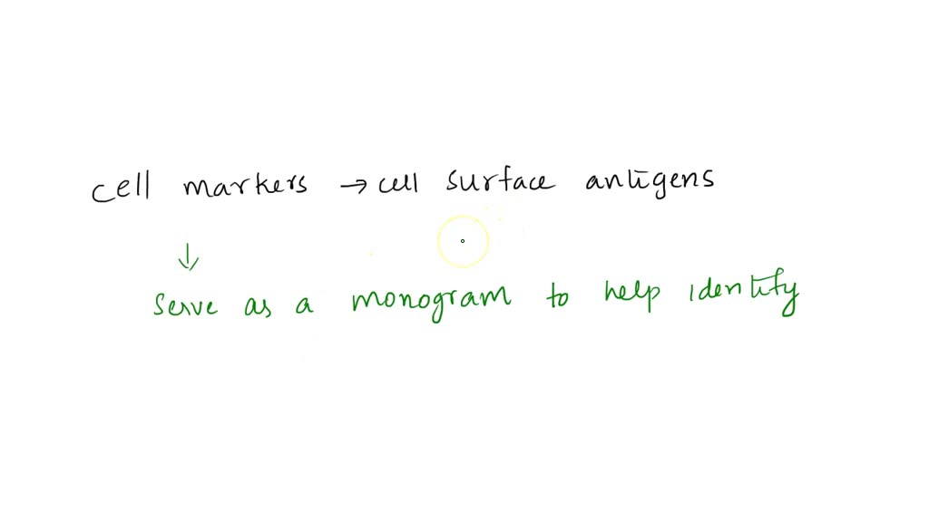 SOLVED HOW IS OUR IMMUNITY DEPENDENT ON THE PRESENCE OF CELL IDENTITY