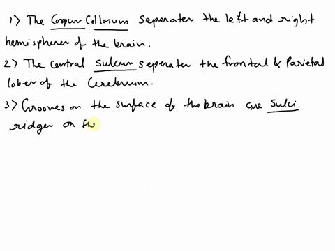 brain-make-sure-you-are-able-to-identify-all-terms-on-the-diagrams-and-pictures-9-complete-the-following-statements-1the-brain-separates-the-left-and-right-hemispheres-of-the-2the-central-se-07658