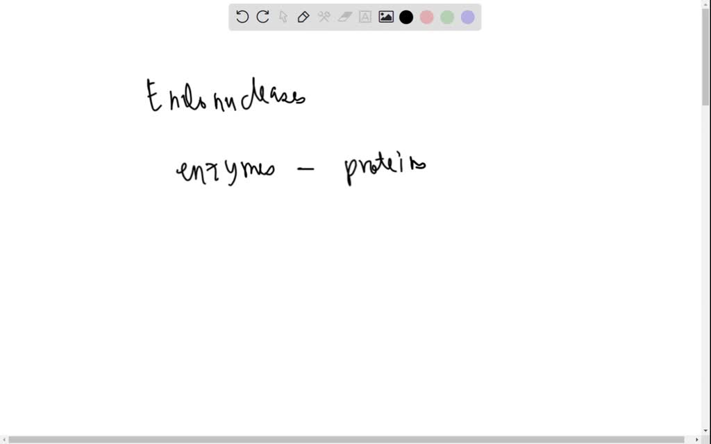 SOLVED Restriction endonucleases are enzymes. What type of