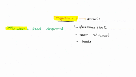 most-angiosperms-incorporate-the-assistance-of-animals-in-their-reproductive-cycle-this-is-a-major-advancement-that-gave-them-an-advantage-over-other-plant-lineages-and-helped-them-become-th-90146