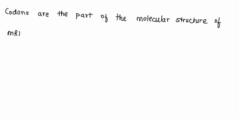 3-nucleic-acids-make-up-both-dna-and-rna-cytosine-c-and-guanine-g-poant-are-complimentary-base-pairs-in-both-dna-and-rna-whereds-adenine-a-binds-with-thymine-t-in-dna-and-with-in-rna-uracil-74433