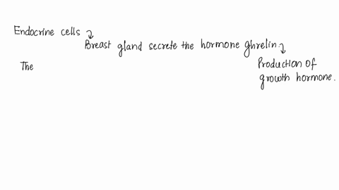the-stomach-secretes-the-hormone-ghrelin-which-functions-to-59628