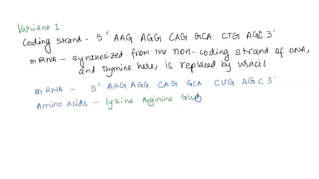 SOLVED: Lab-12 Activity Variant 1 Coding Strand 3'- TTC TCC GTC CGT GAC ...