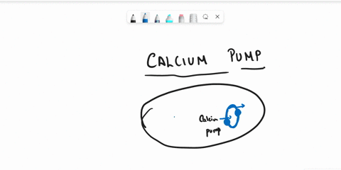 draw-a-diagram-the-cycle-of-a-ca2-pump-when-finished-upload-your-response-14447