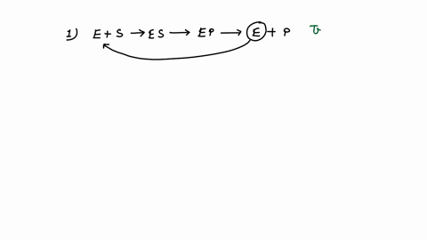 indicate-whether-each-statement-is-true-or-false-regarding-enzymes-catalysts-and-activation-barriers-after-an-enzyme-has-been-used_-it-may-act-as-a-catalyst-for-another-reaction-enzymes-lowe-79247