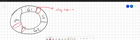 progression-through-the-cell-cycle-is-regulated-by-oscillations-in-the-concentration-of-which-type-o-66375