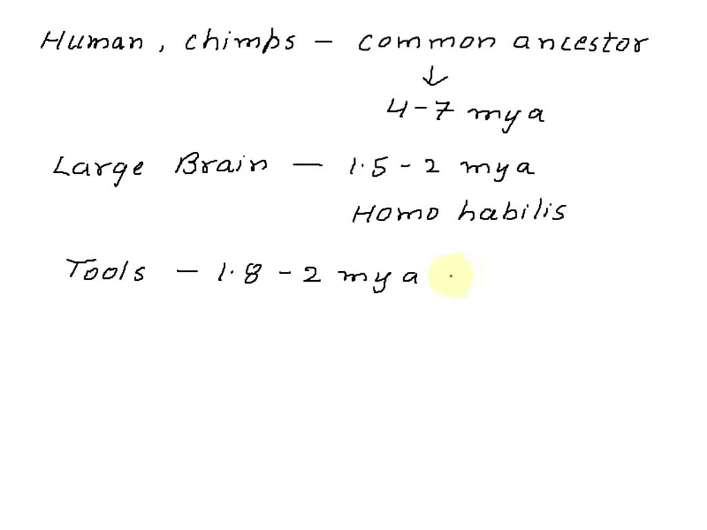 solved-10-which-conclusion-about-human-evolution-can-scientists-infer