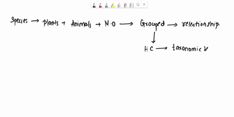 the-various-taxonomic-levels-namely-genera-classes-etc-of-the-hierarchical-classification-system-differ-from-each-other-on-the-basis-of-a-the-relative-genome-sizes-of-the-organisms-assigned-44755