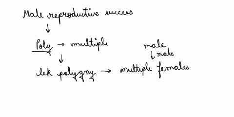 one-would-expect-to-find-the-greatest-disparities-of-male-reproductive-success-in-which-of-the-following-mating-systems-a-monogamy-b-lek-polygyny-c-polyandry-d-promiscuity-00834