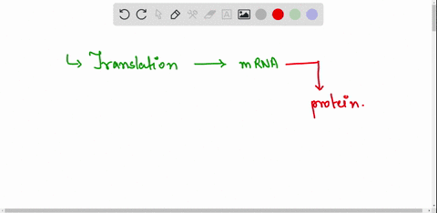 during-which-process-is-mrna-converted-into-a-sequence-of-amino-acids-for-protein-production-translocation-23264